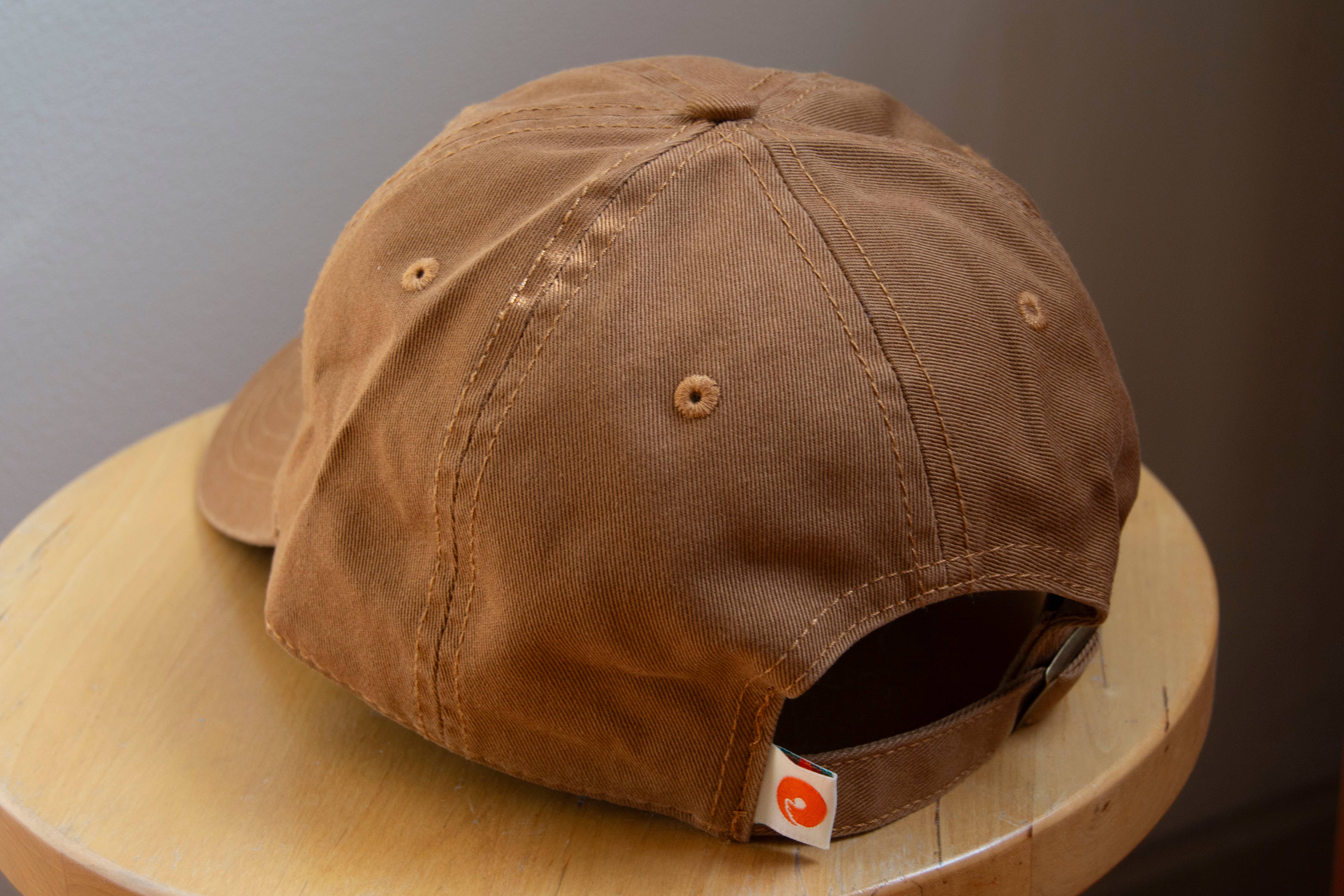 Curlworks - Wholesale Baseball Cap - Unisex - Ant Hat1