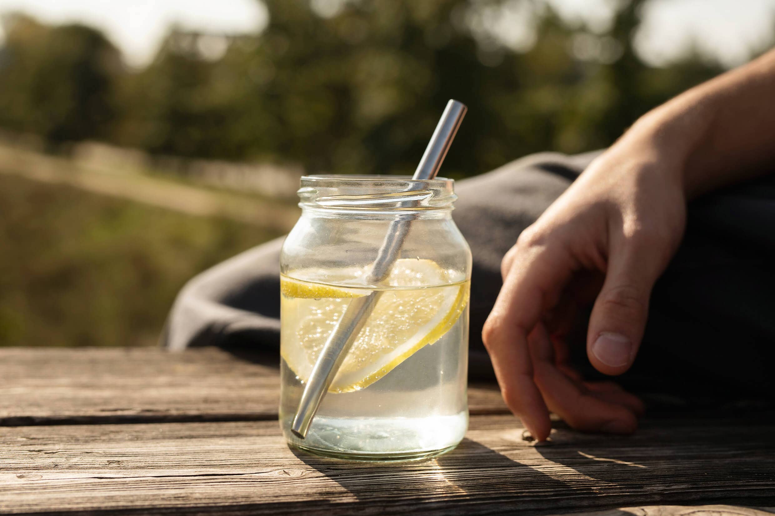 ECO Brotbox - Wholesale Drinking Straw - ECO straws - short (set of 25)2