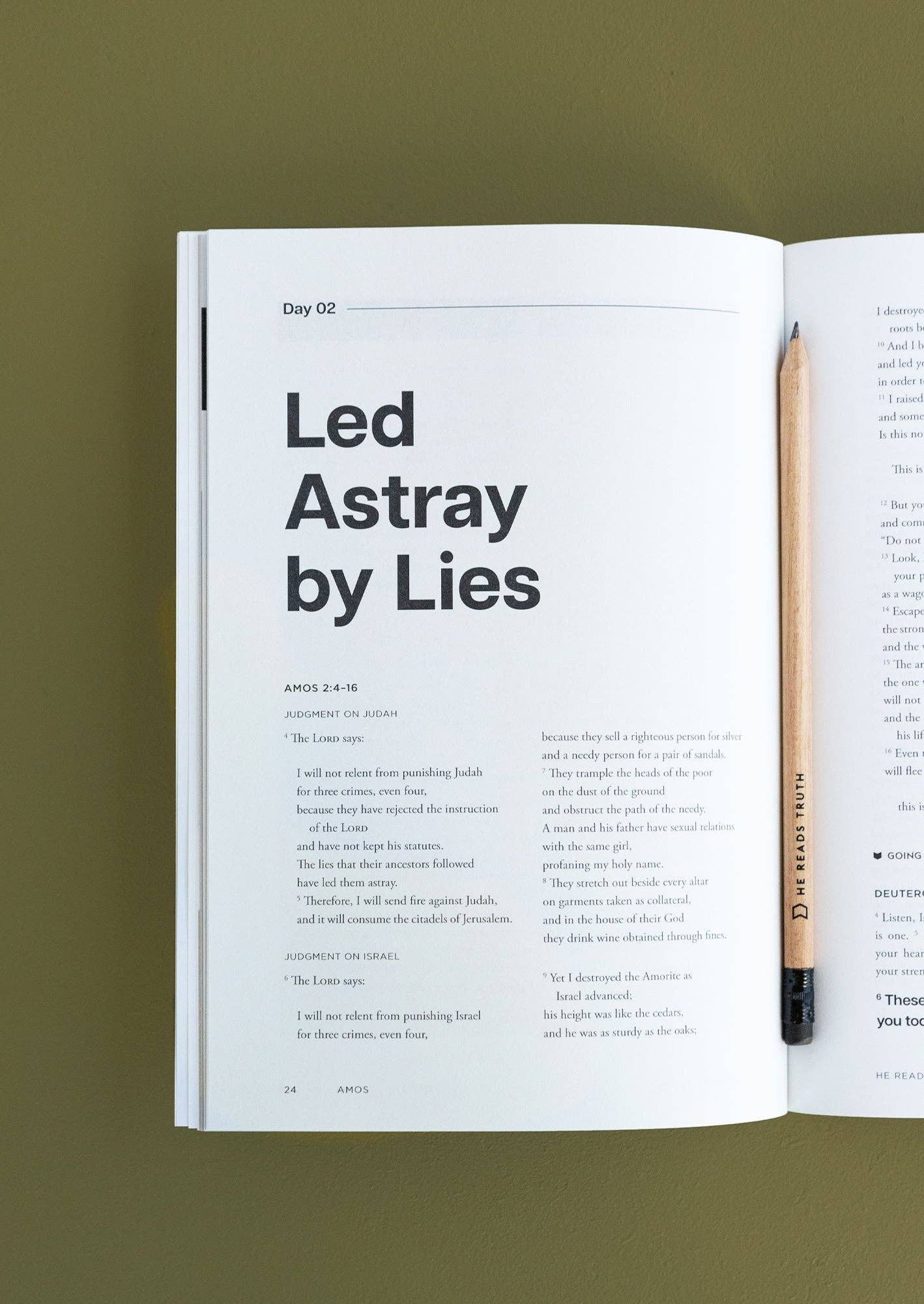 She Reads Truth - Wholesale Religion Book - Amos Men's Reading Guide2