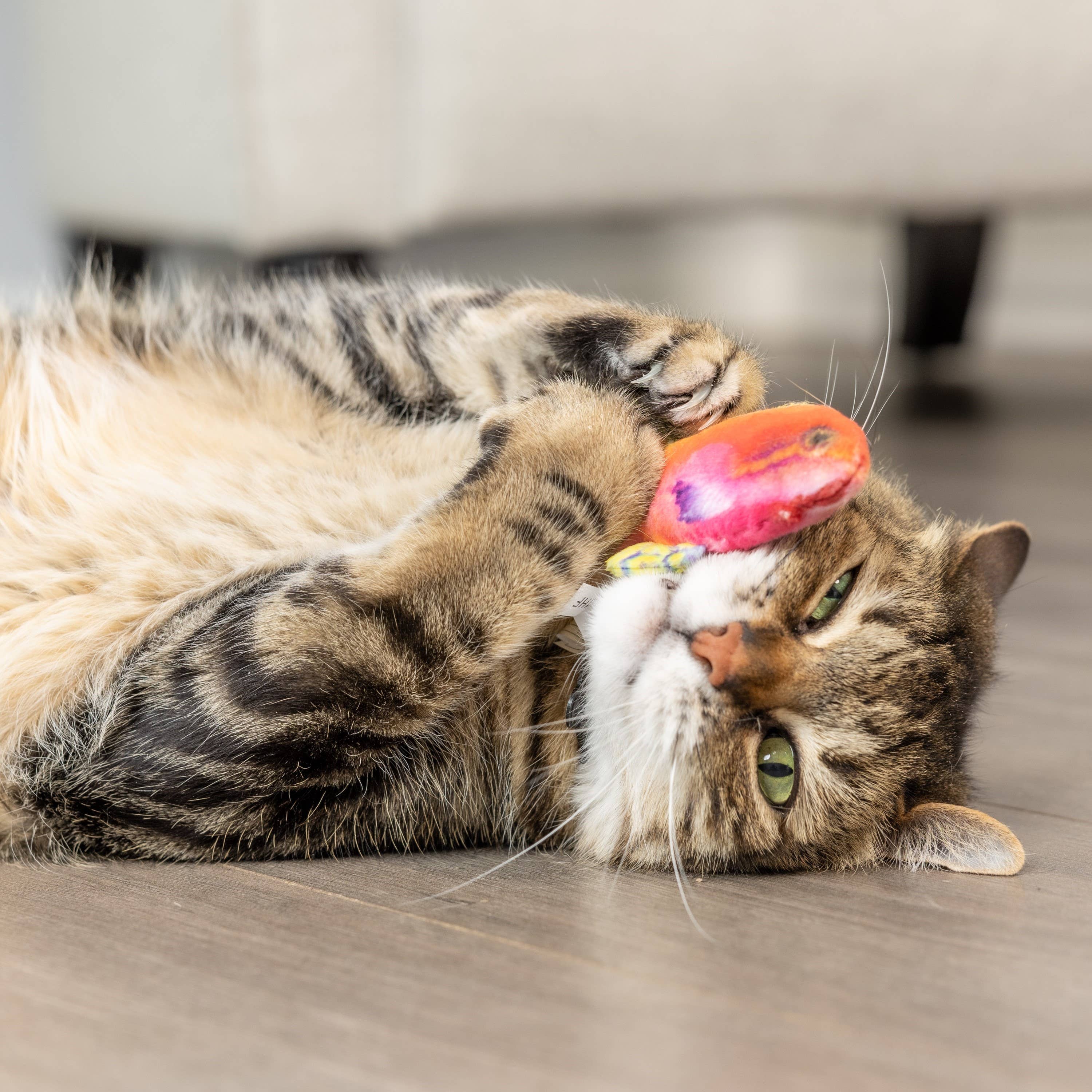 Huxley & Kent - Wholesale Pet Toy - Cat - Rainbow Guppy Cat Toy3