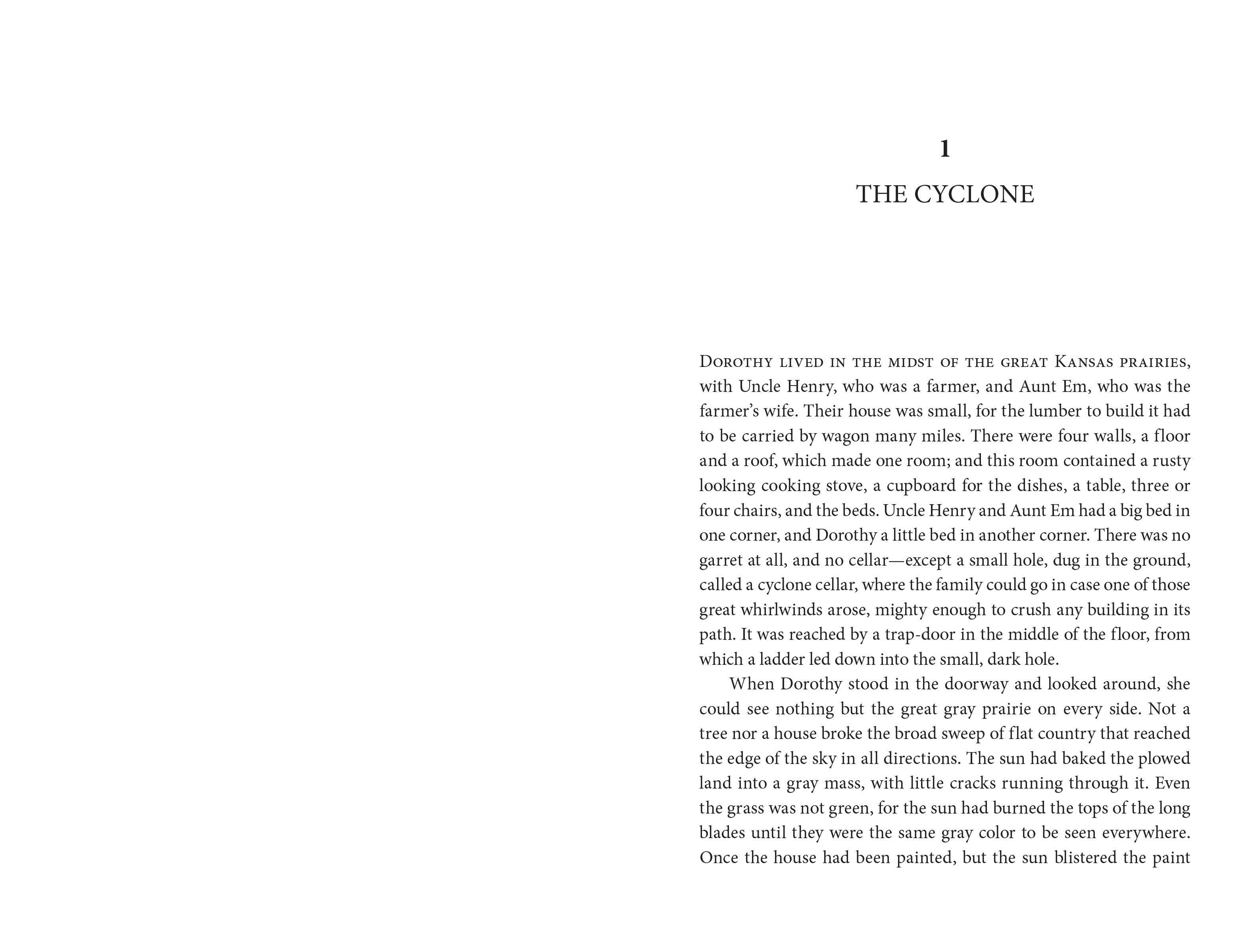 Hachette Book Group - Wholesale Classics - The Wonderful Wizard of Oz by L. Frank Baum4