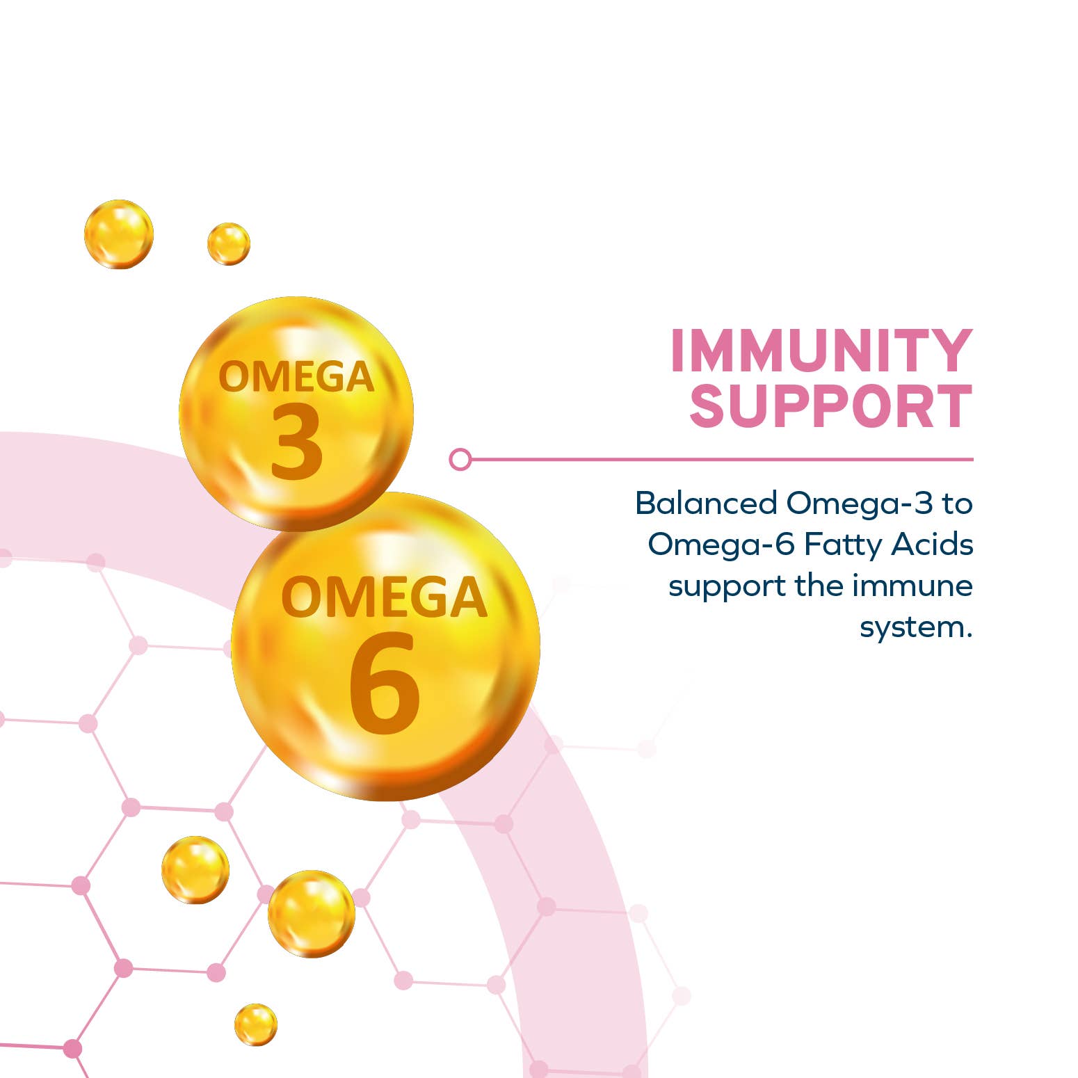 Forza10 Pet Food - Wholesale Pet Food - Dog - FORZA10 DAILYPRO MAINTENANCE MEDIUM BREED GRAIN-FREE3