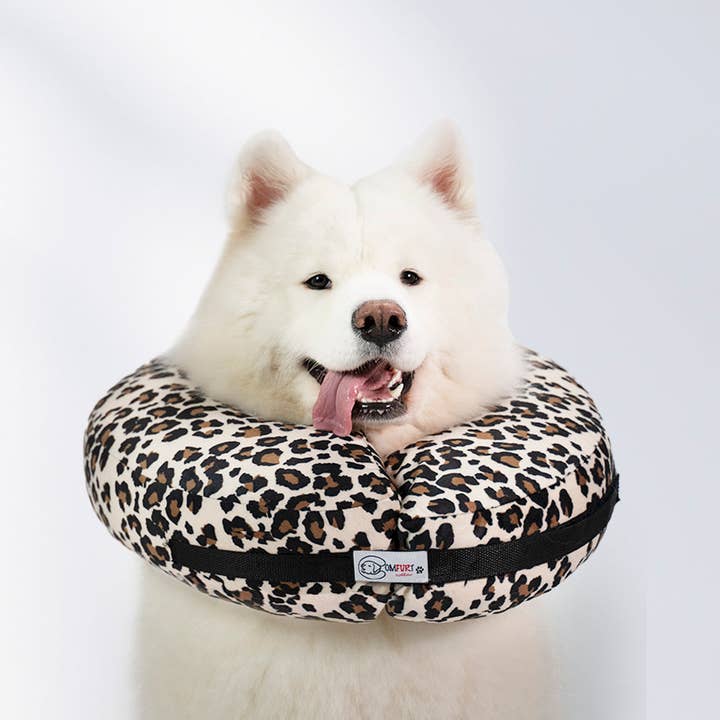 Comfurt Collar - Wholesale Pet Collar - Cat/Dog - Cheetah - Pet Recovery Collar9