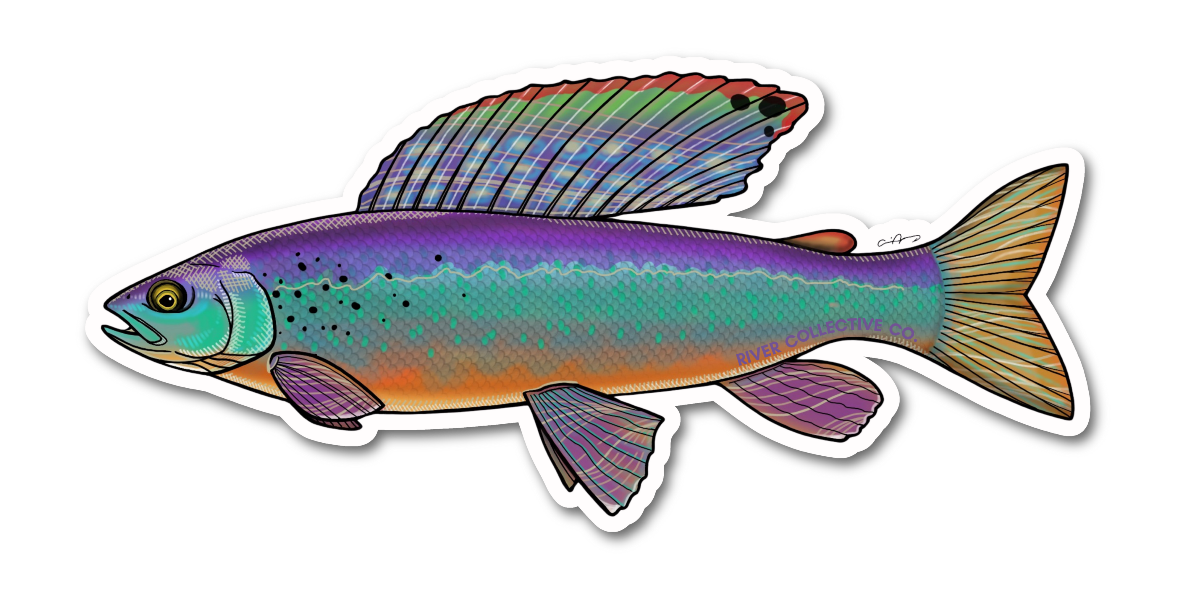 REMOVED BRAND - Wholesale Sticker - ARCTIC GRAYLING DECAL0