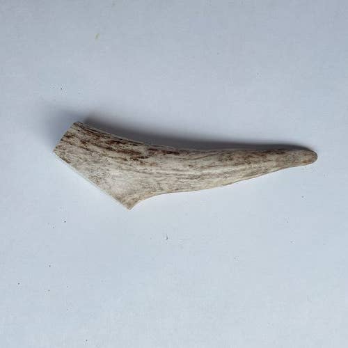 Lynchburger Small Elk Antler for wholesale by Lynchburger Pet Products