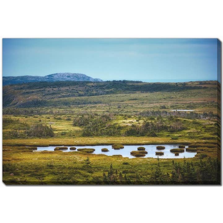 Trees Bog Pond Ocean 30x45 Printed Canvas Wall Art for wholesale by Streamline Art