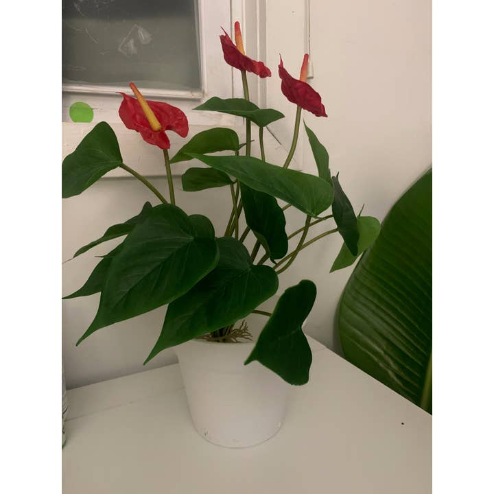 UniqueMartandHome - Wholesale Artificial Flowers - Artificial Plants Anthurium Red flowers in Pot