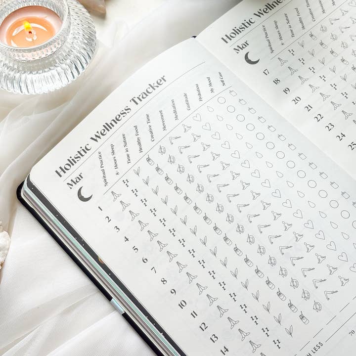 Goddess Provisions - Wholesale Planner - 2026 Moon Phases Astrology Planner - Calendar Journal6