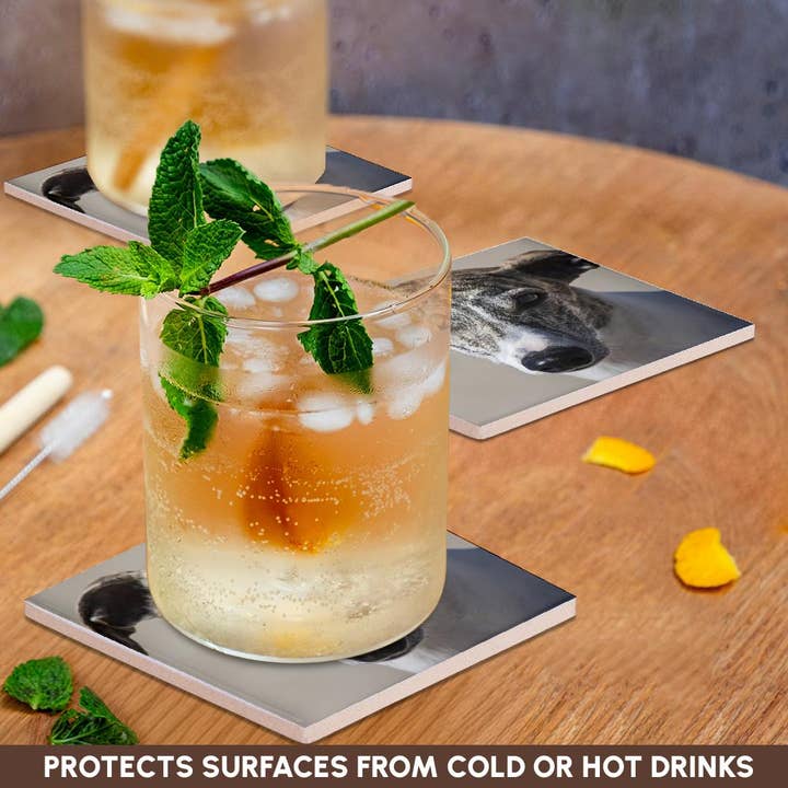 3dRose - Wholesale Coasters - 3dRose, Portrait of a Whippet, Coaster2