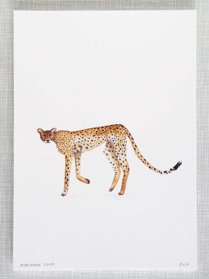 Cheetah Animal Print A4 print for wholesale by Mary and the Locks