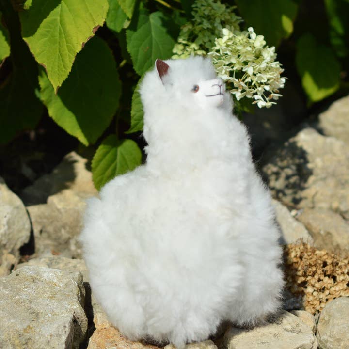 Alpaca market - Venta al por mayor Peluche - Niños y bebés - Peluche de alpaca