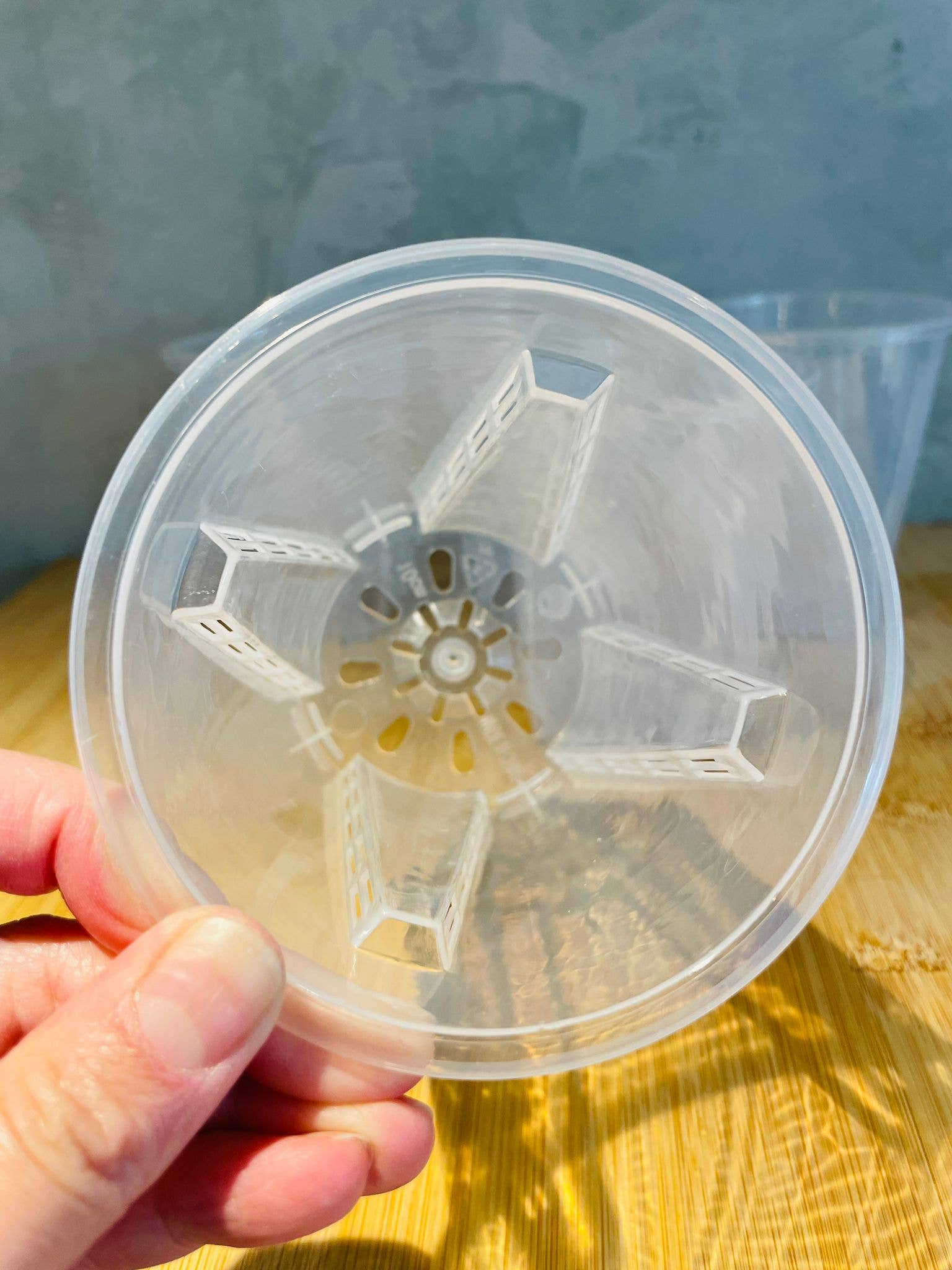 Coco and Palm Trees - Wholesale Plant Pot - Clear Nursery Pot 4"1