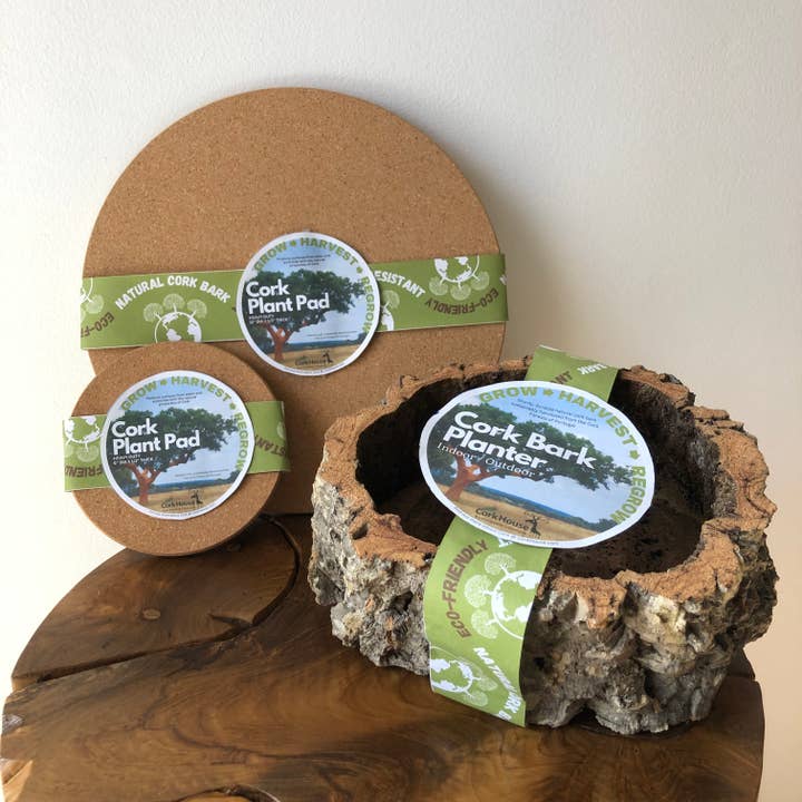 Jelinek Cork Group – Vaso de plantas por atacado – Plantadora de Cortiça Durável para Protecção e Estética das Plantas1