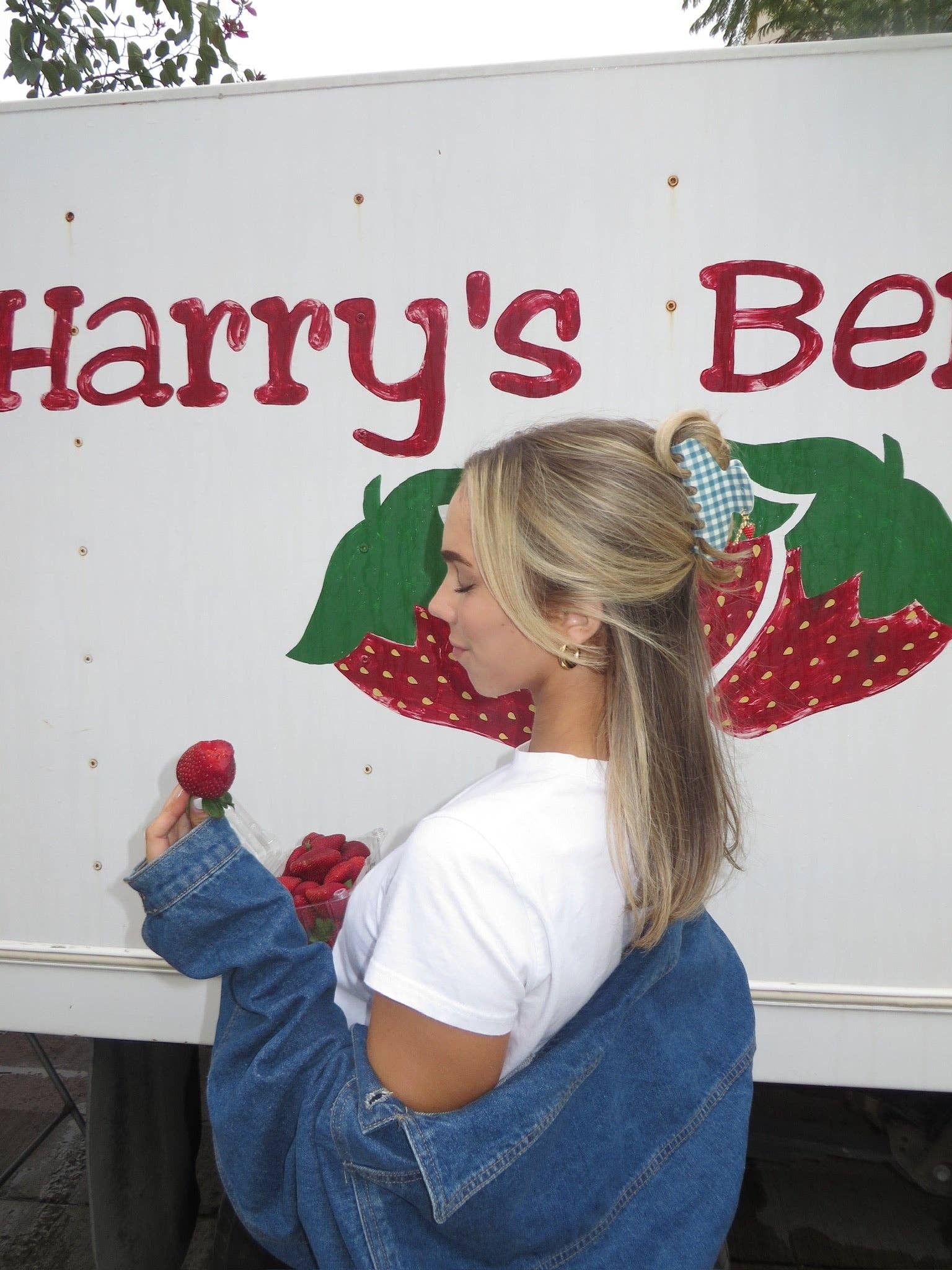 KAXI - Wholesale Hair Clip - Women's - BLUE GINGHAM STRAWBERRY CHARM CLAW5