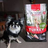 Pet Food Australia - Vendita all'ingrosso Cibo - Cani - Cibo per cani senza cereali, per canguri e pesci oceanici, prodotto in Australia