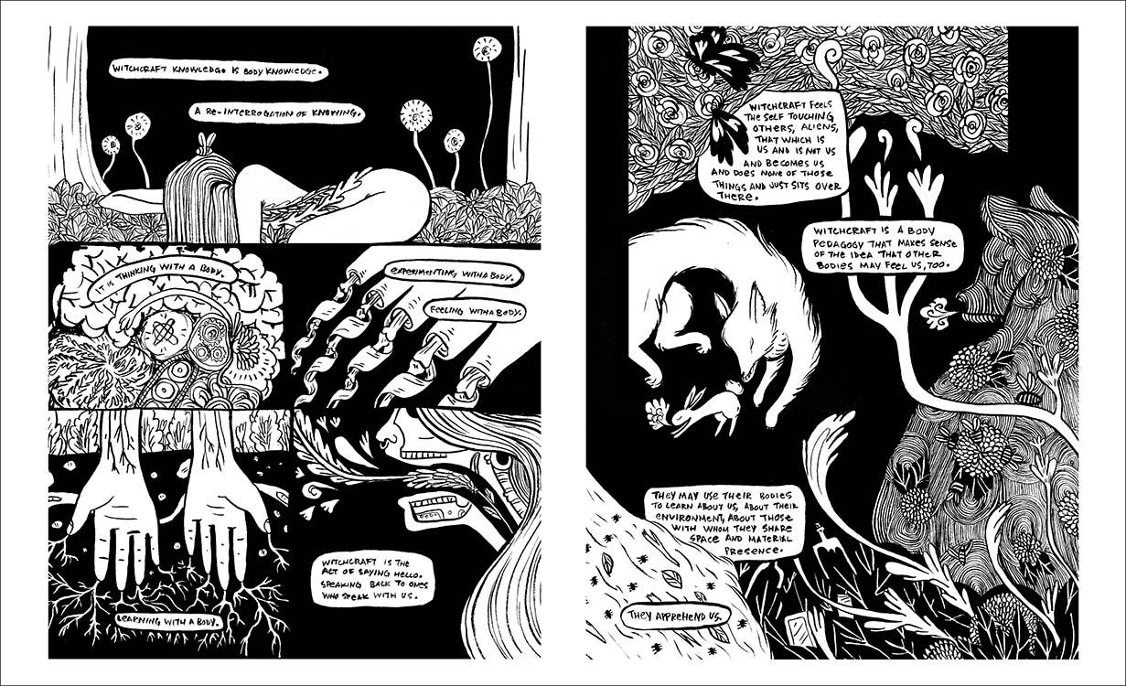 Red Wheel/Weiser LLC - Wholesale Graphic Novel - Witchbody: A Graphic Novel by Sabrina Scott3