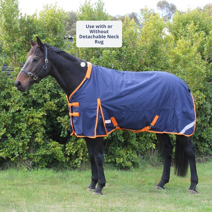 Active Equine – wholesale Horseback riding gear – Primo 1200D Rug + Liner Bundle