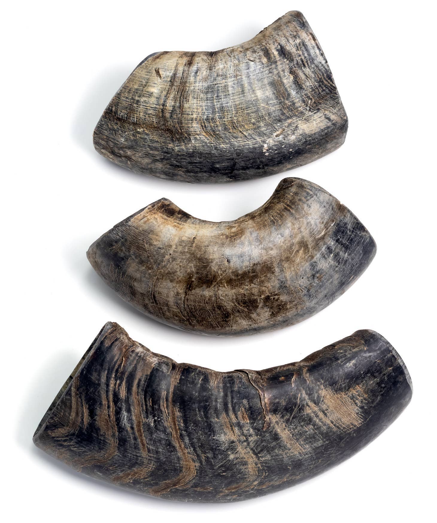 Durkha Dog Chew - Wholesale Pet Chew Toy - Dog - 3.5 Oz Durkha Buffalo Horn - Small3