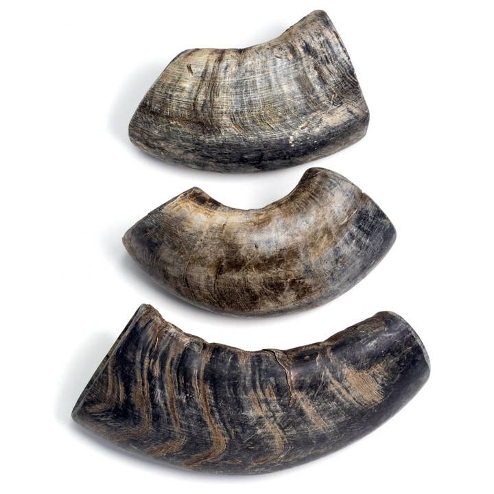 Durkha Dog Chew - Wholesale Pet Chew Toy - Dog - 3.5 Oz Durkha Buffalo Horn - Small3