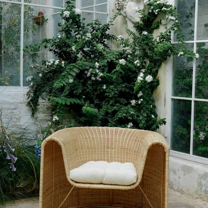 Black Salt Co - Wholesale Chair - THE PALMA CHAIR12