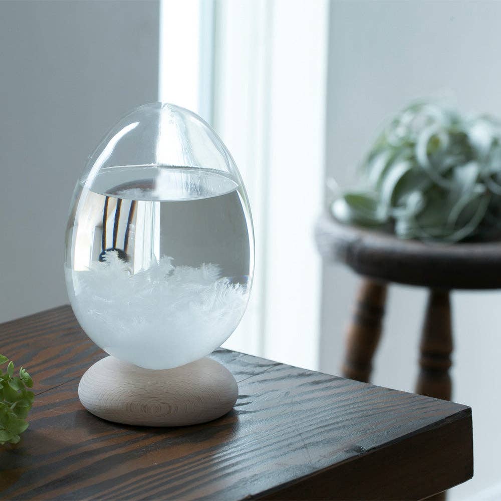 100percent - Wholesale Decorative Tabletop Object - Tempo Drop Storm Glass Weather Forecaster5