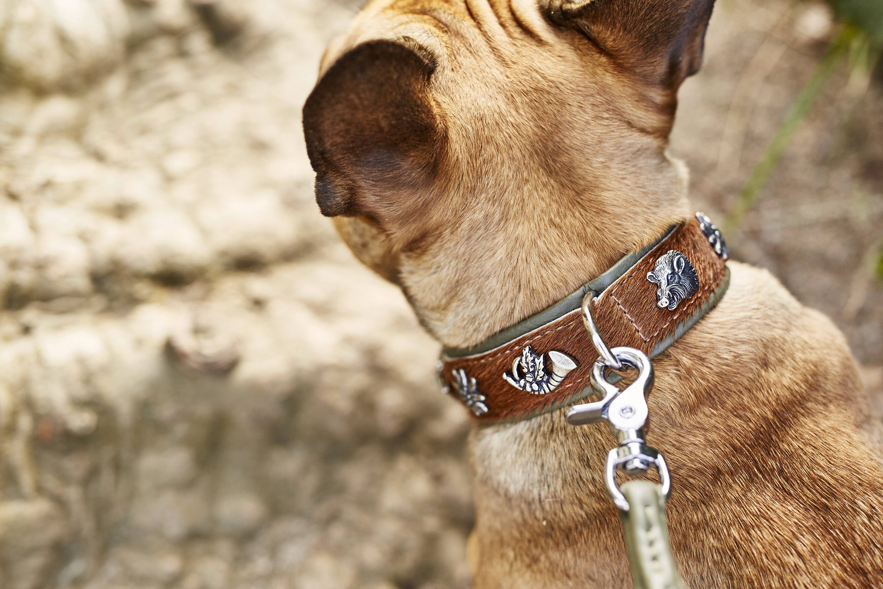 bruin-groen BAVARIA hondenhalsband van nappa en rundsleer voor groothandel op Faire12