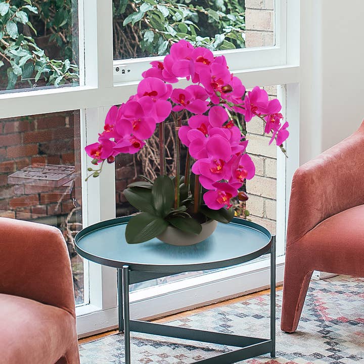 Orchidée Phalaenopsis Fuchsia de 20" dans un Élégant Pot Rond Gris pour la vente par Larksilk