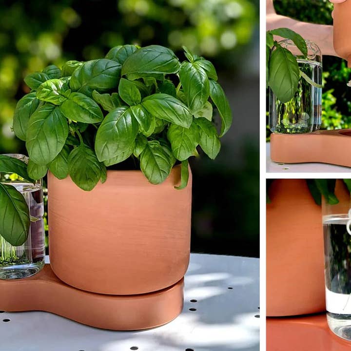 Greenfinity - Wholesale Plant Pot - Greenfinity - Cutting pot with self-watering system