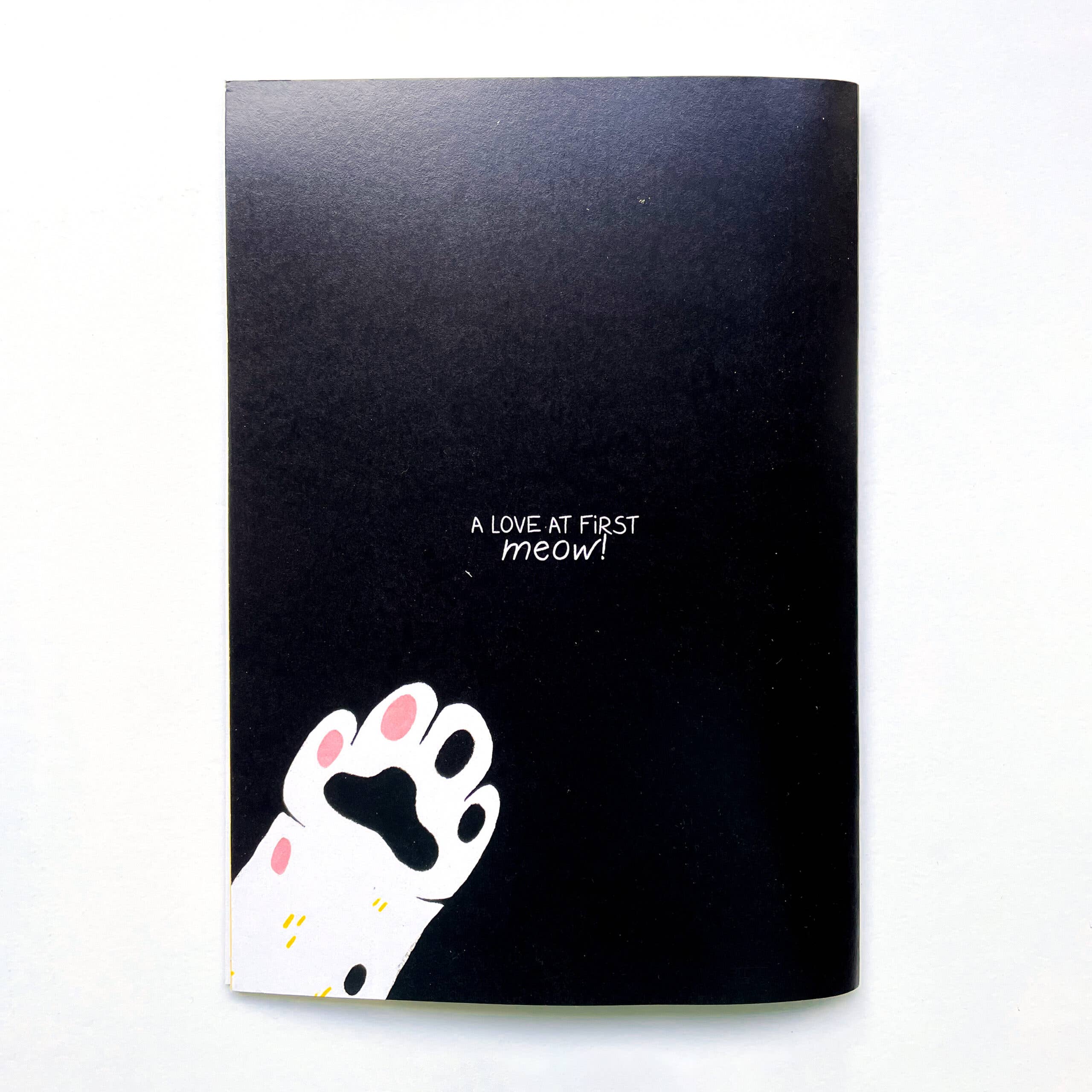 felgsara – wholesale Husdjur – Bok "Livet med en katt"4