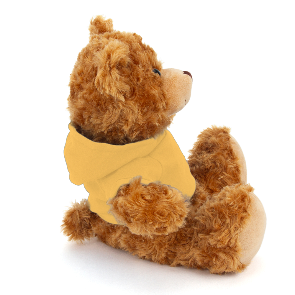 Plushland – wholesale Stuffed/plush toy – Kids & baby – 11" Personalized Teddy Bear in Hoodie | Custom Sitting Bear30