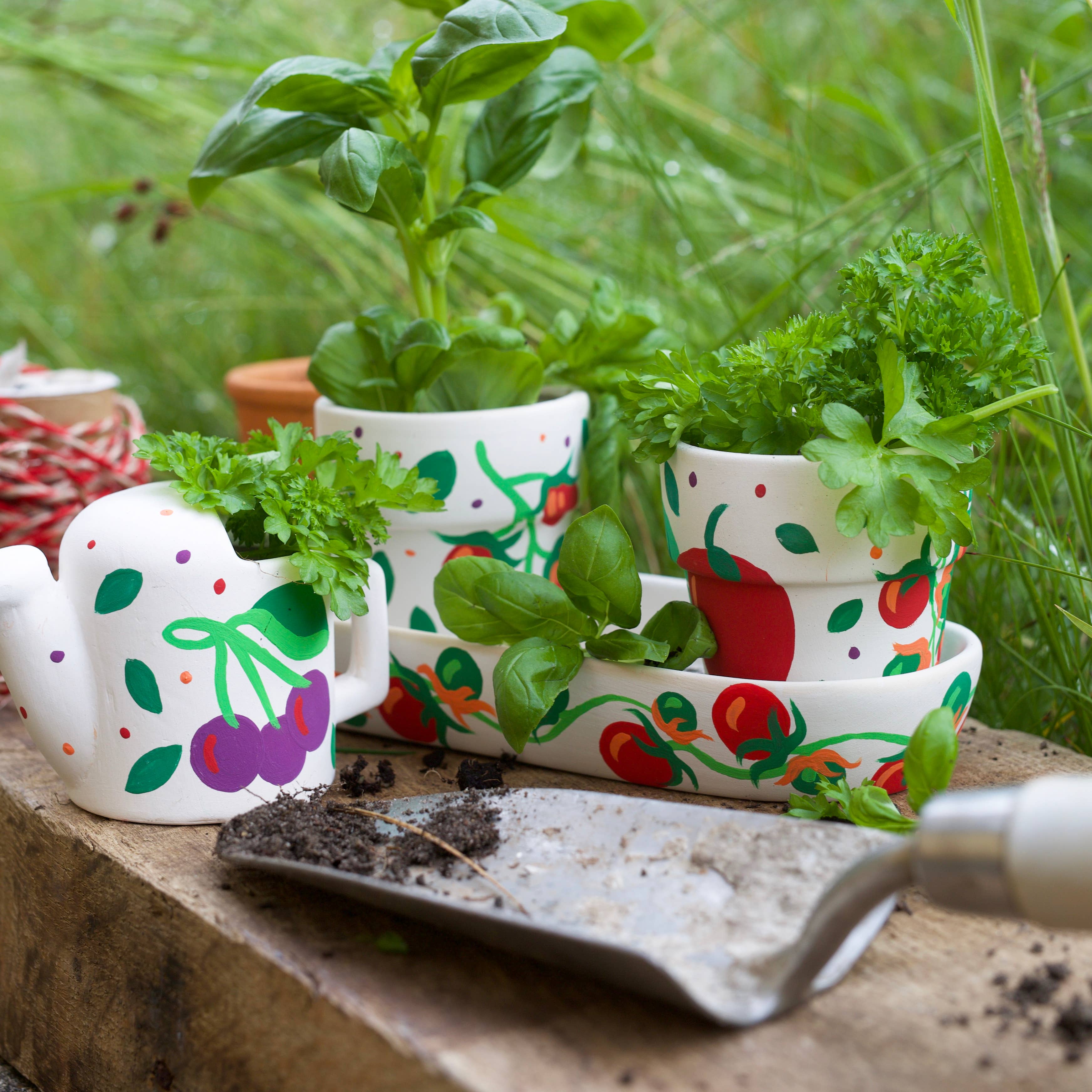 West Design Products – Pintura/desenho por atacado – RHS Paint Your Own Set, Branco, Kit de Artesanato, Janela para Jardim13