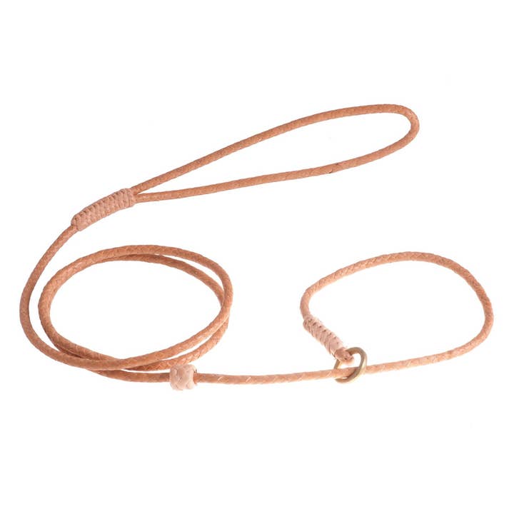 Alvalley - Wholesale Pet Leash - Dog - Braided Leather Slip Lead with Stopper14