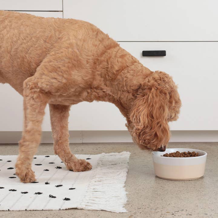 Waggo - Wholesale Pet Bowl - Cat/Dog - Dipper Ceramic Dog Bowl14