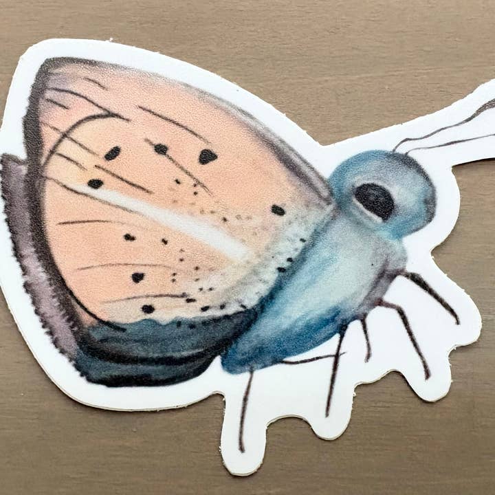 Sweet Baby Moth Nature Sticker Waterproof Vinyl for wholesale by Maryellen Kim Art And Design