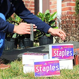 Ashman 6 Inch Landscape Staples, 50 count for wholesale by Ashman Online