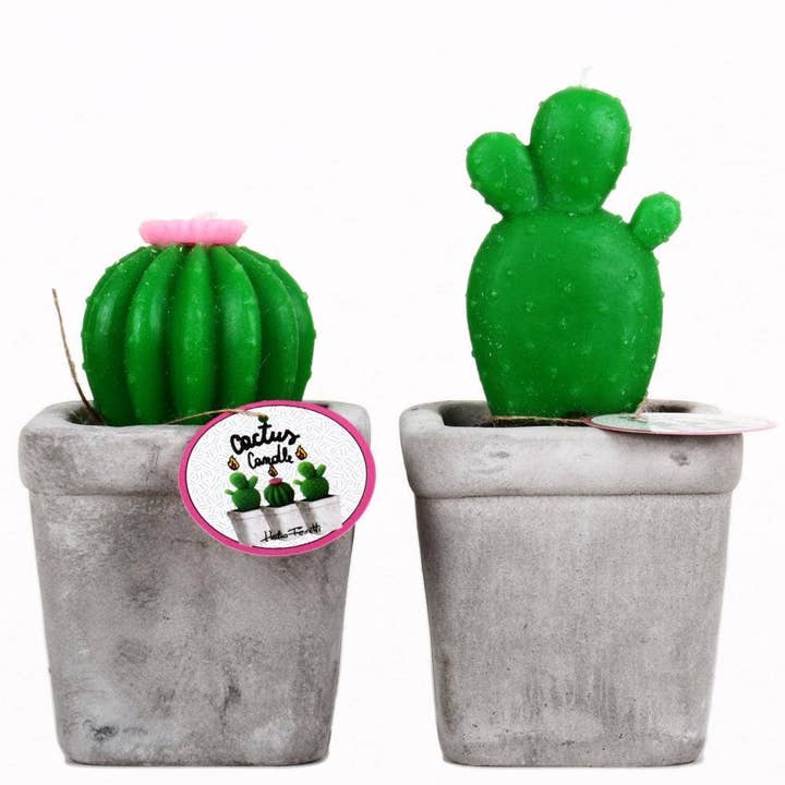 CACTUS CANDLE STONE HF for wholesale by Helio Ferretti Candles & Co.