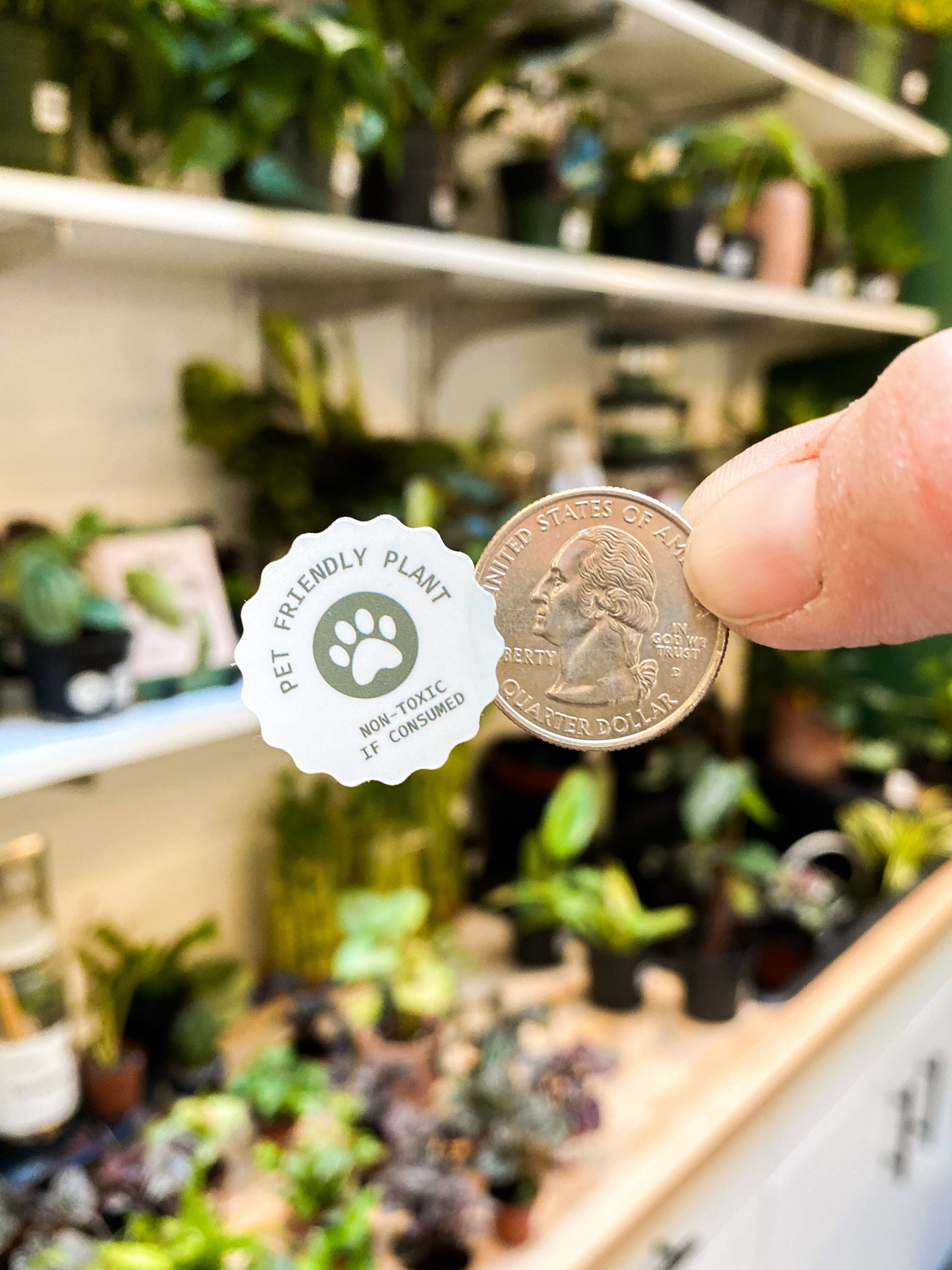 The Plant Supply - Wholesale Sticker - Pet Friendly Plant Sticker Rolls - 500+ Sticker Rolls2