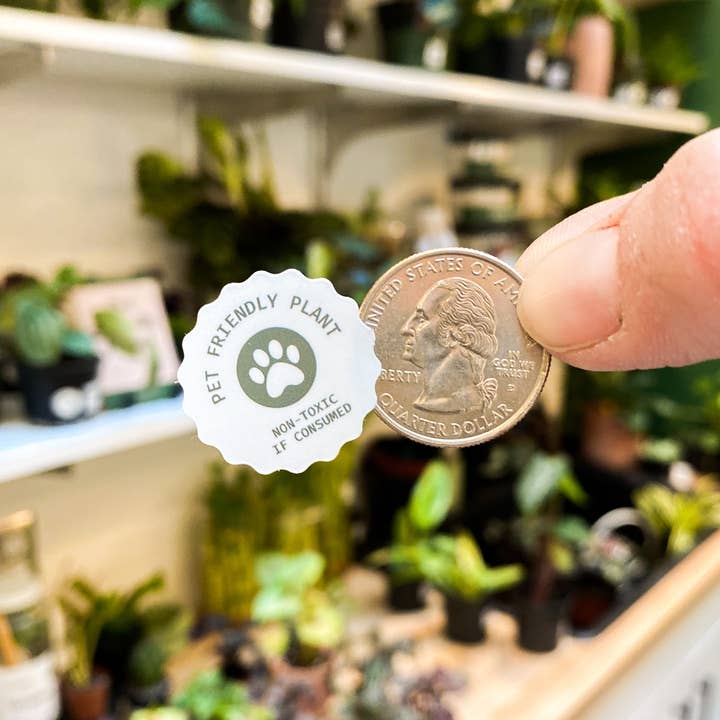 The Plant Supply - Wholesale Sticker - Pet Friendly Plant Sticker Rolls - 500+ Sticker Rolls2