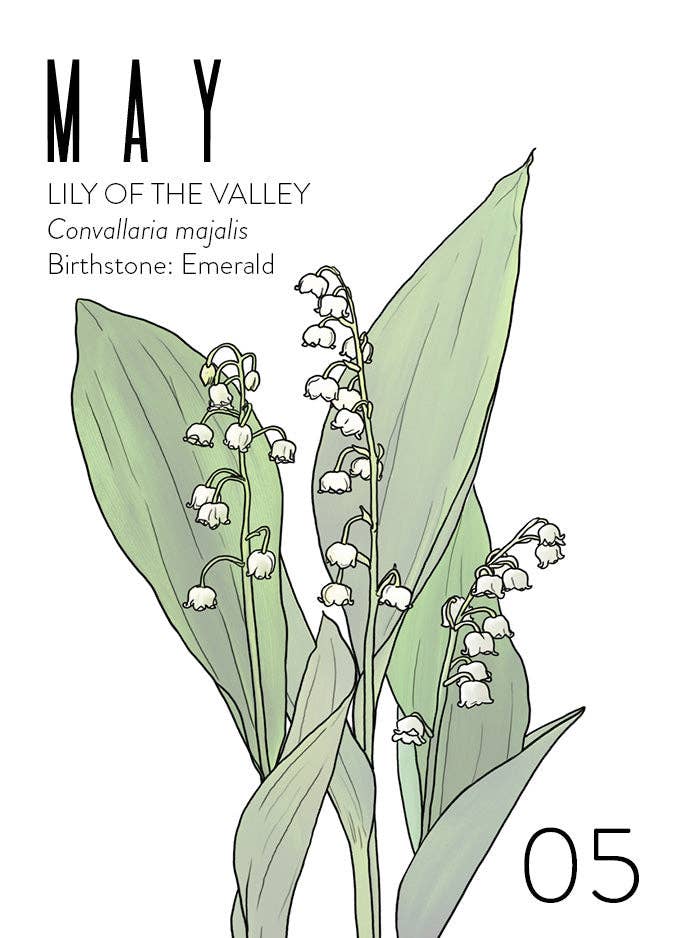 WildFlora - Wholesale Verjaardagskaartje - Groothandel Wenskaarten: Geboortemaand Collectie (set van 12)6