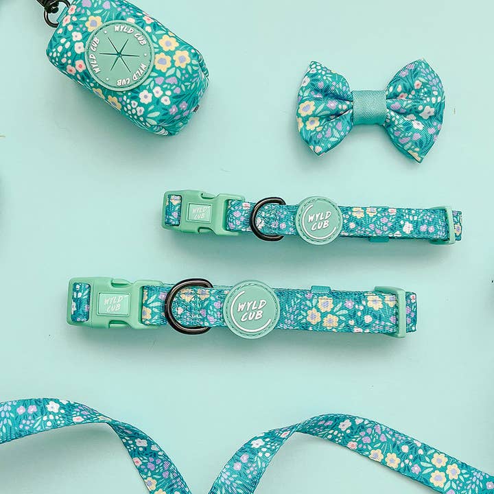 WYLD CUB – wholesale Pet collar – Dog – Adjustable Dog Collar: Notting Hill Mint4