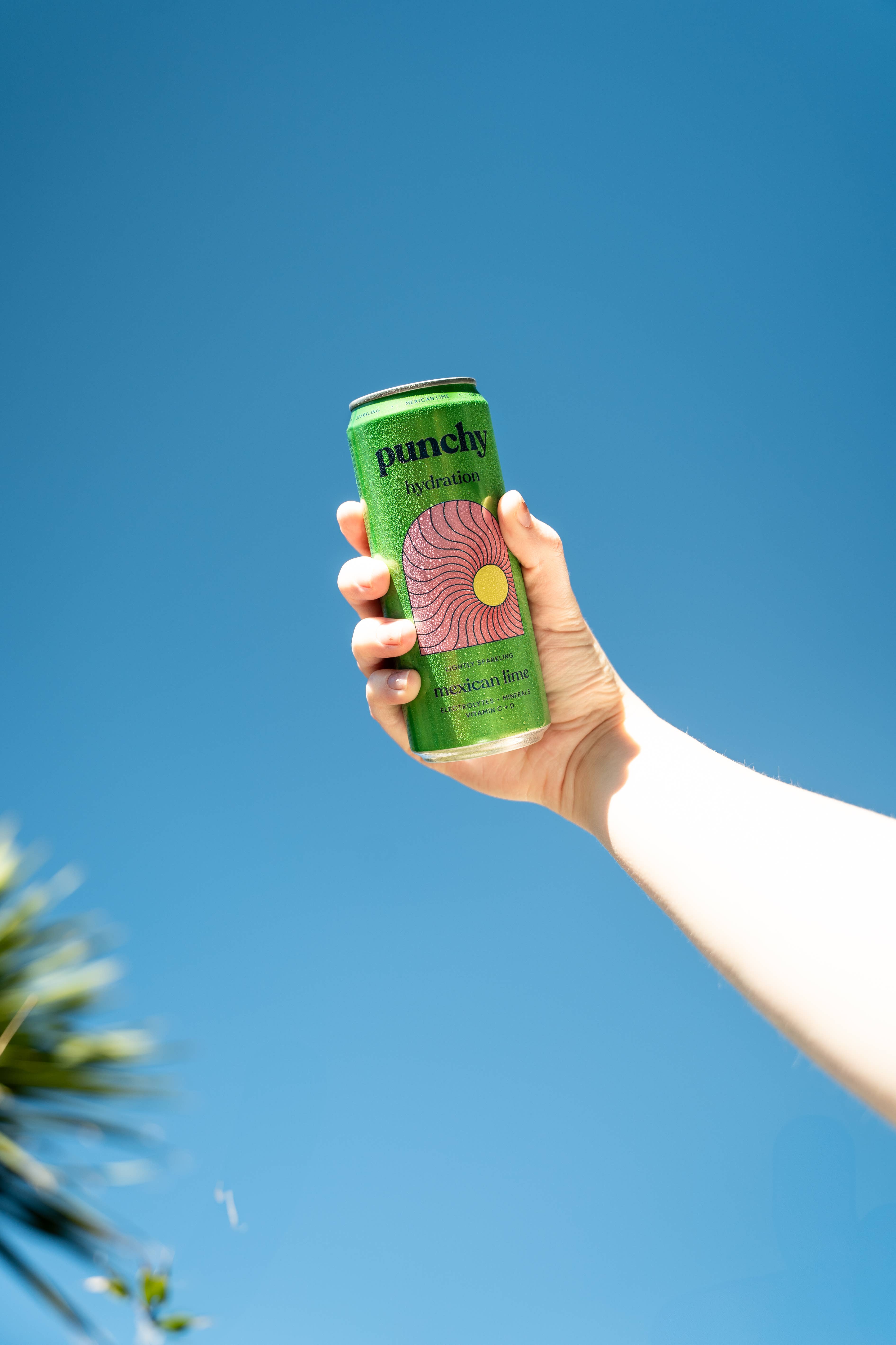 Punchy – wholesale Sports/energy drink – Mexican Lime hydration (330ml)1