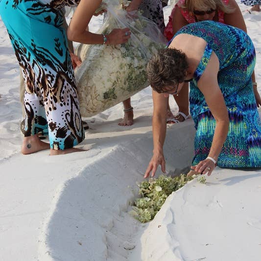 Flyboy Naturals Rose Petals - Wholesale Dried/pressed flowers - Irish Blend Rose & Hydrangea Petals.30 Cups Freeze-dried USA6