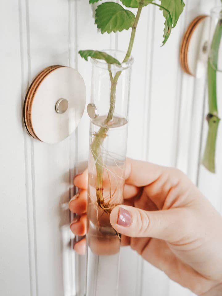 Magnetisk Formering Planter | Formering Station | Reagensglas Wall Planter | Træ Formering Station | Plant gave | Wall Plant for engroshandel hos Simply Rooted