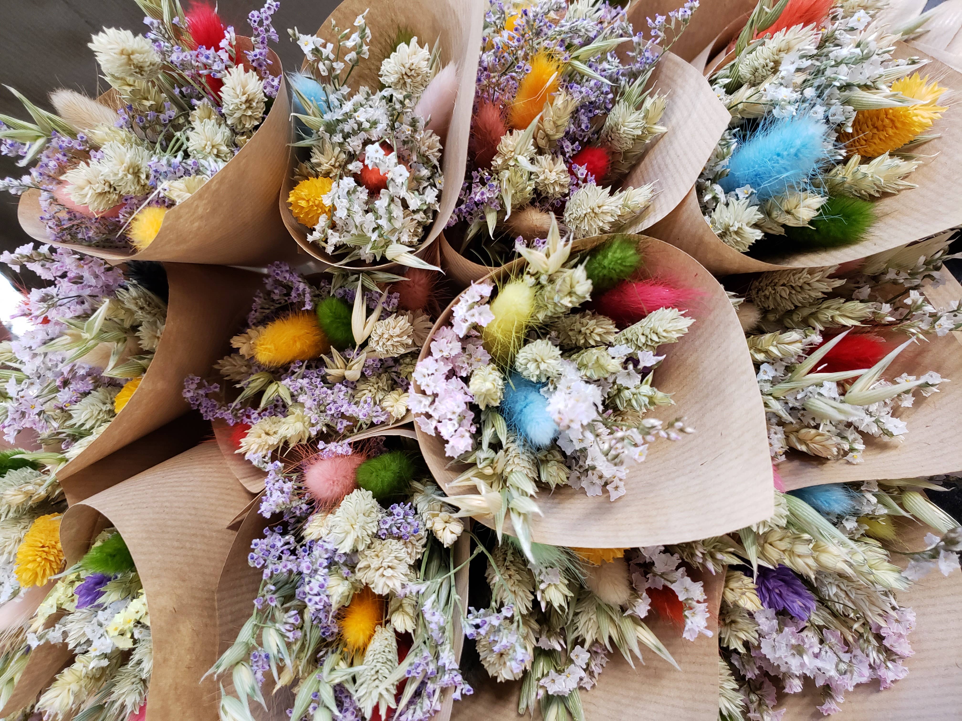 Flower La Vita Limited – wholesale Dried/pressed flowers – Colourful Dried Mini Flower Bunches2