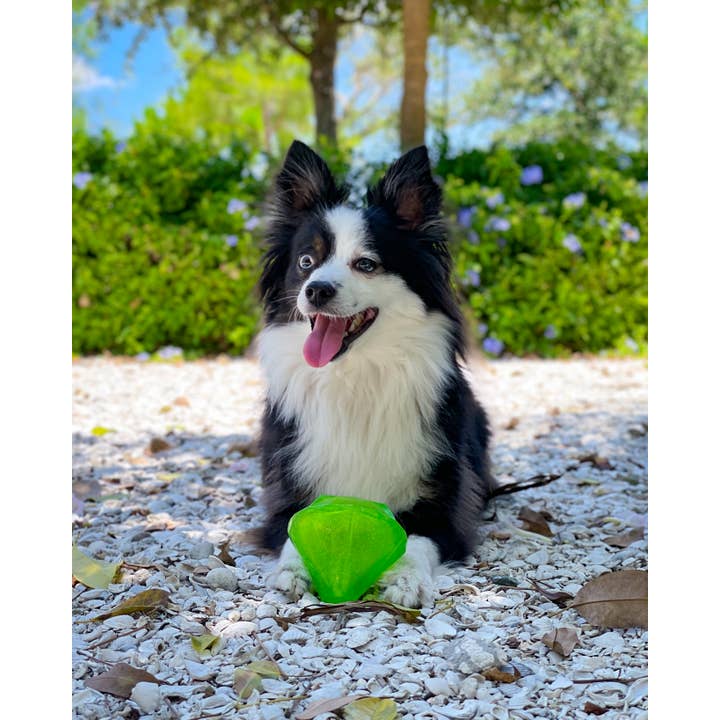 Spunky Pup - Wholesale Pet Squeaky Toy - Dog - Squeaky Gems! - Diamond and Heart Squeakers