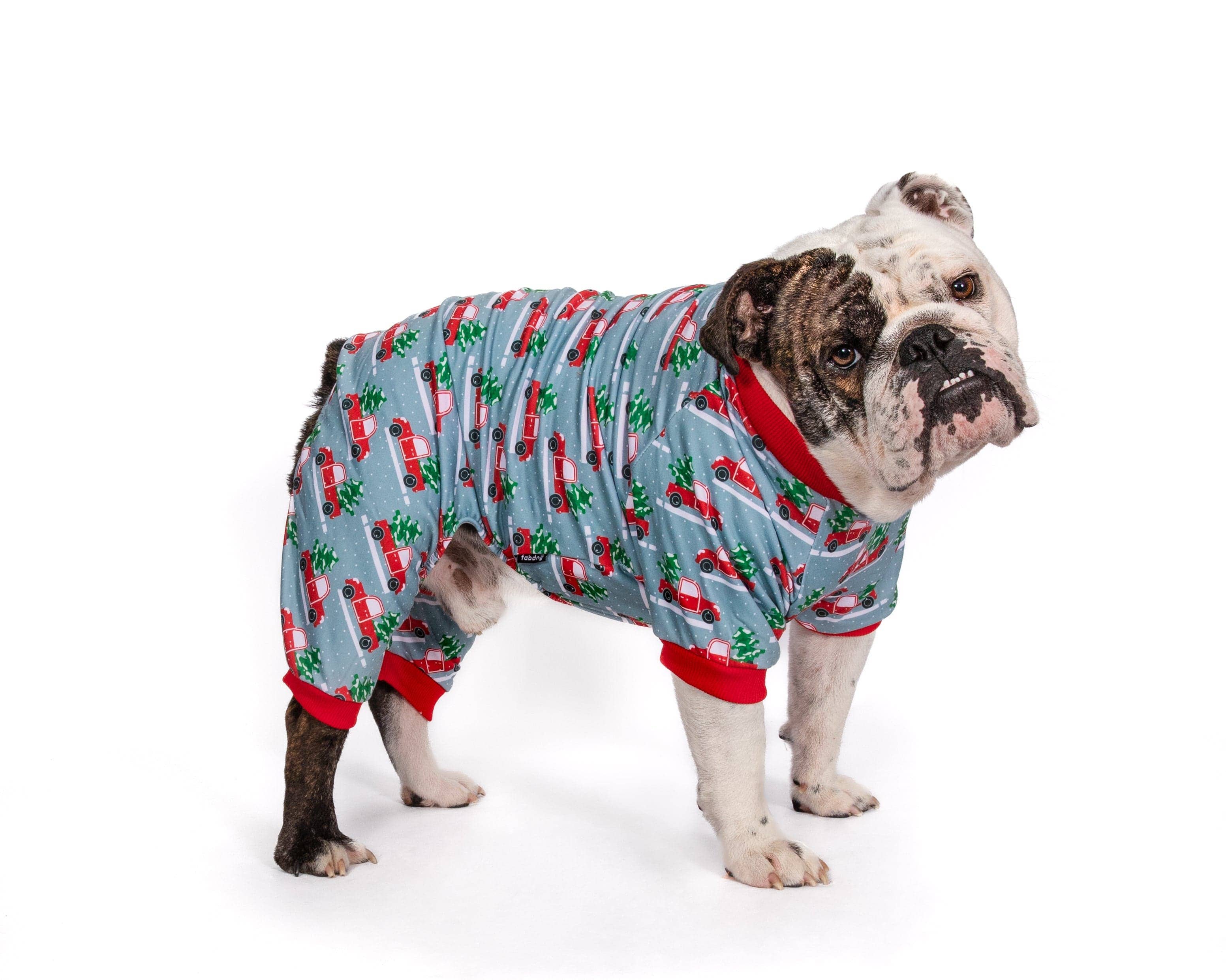 fabdog - Wholesale Pet Pajamas - Dog - X-Mas Truck Onesie5