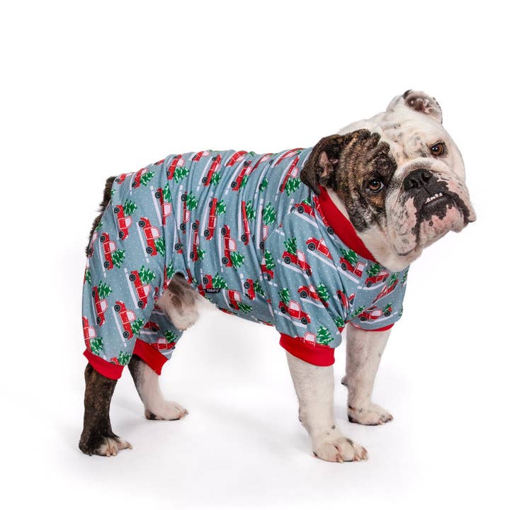 fabdog - Wholesale Pet Pajamas - Dog - X-Mas Truck Onesie5