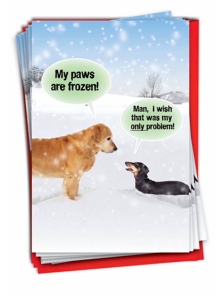 Box of 12 Christmas Card - My Paws Are Frozen for wholesale by NobleWorks