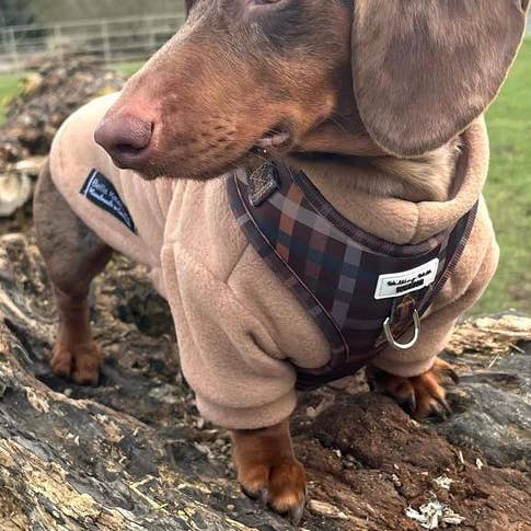 Mocha waterafstotende hondenfleece voor wholesale door Bella Katee Pets