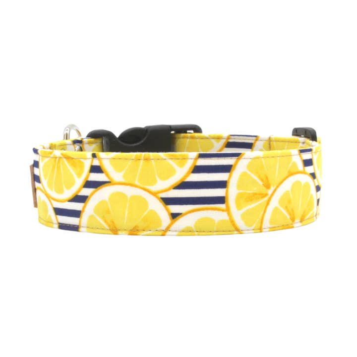 Navy blue stripe lemon dog collar for wholesale by Paper Chasing Collars Dog Accessories